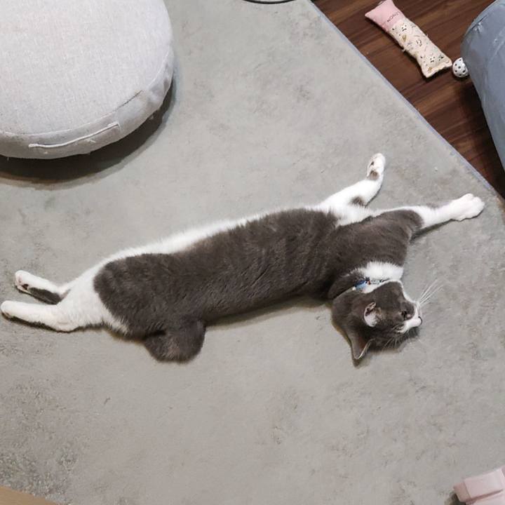 80faa08b 9b50 4b82 ae9c d64bb02d8333 1720522025107