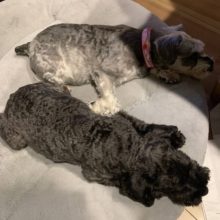 80fad7ba edfd 4727 8bab 8ef3157e68aa 1692786979841