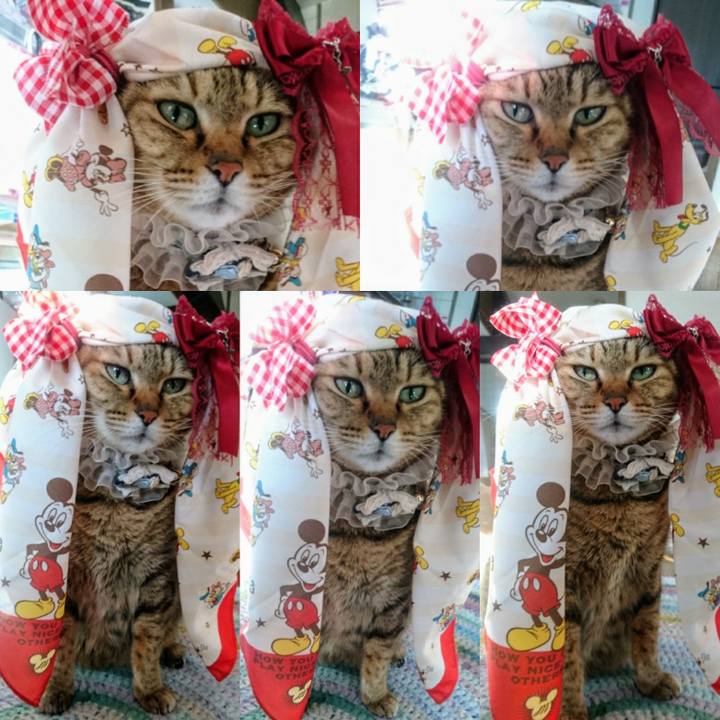 80fae940 978e 4f5a 9387 e02c4f04172f 1768002568413