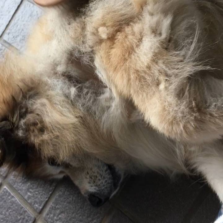 80faf3f3 44a5 469c b81f 056f0ca6d49f 1602051443585