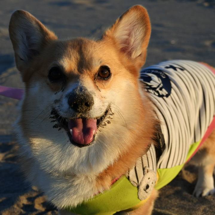 80fb1e57 03a2 47a9 a083 34c5b40ebdac 1605355035602