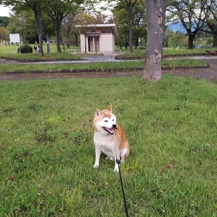 80fb3303 0d2a 40c0 9f7c 777aea8876ee 1663489606558