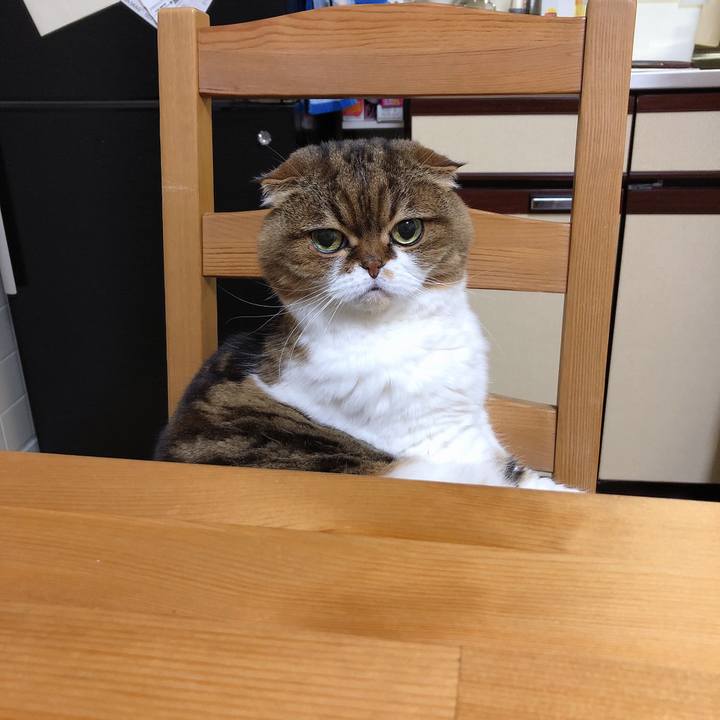 80fb5520 56c4 4892 8555 e7dc35fc3a9d 1550395552930