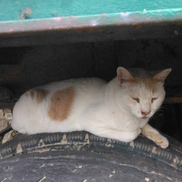 80fb6466 2cac 4917 bb67 bf05e8b990f5 1723597985824