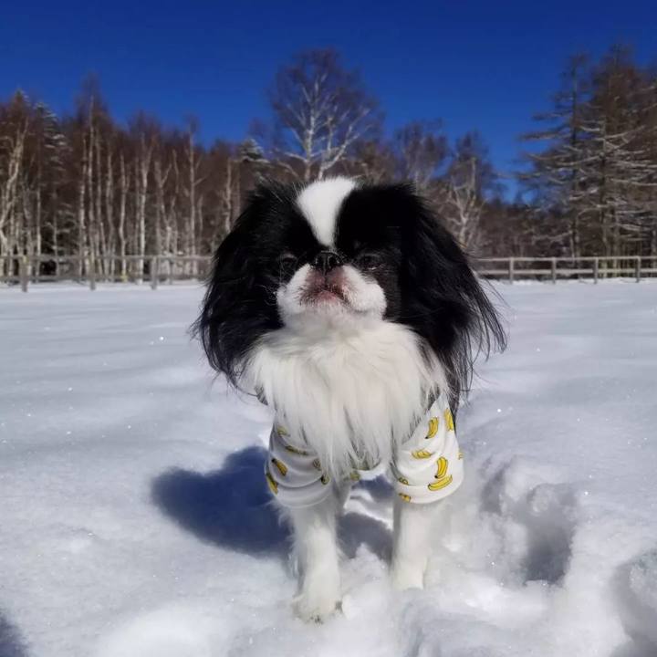 80fba4de 4927 46e3 aa21 24df704682ce 1676639049298