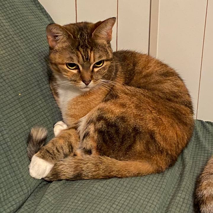 80fbdfc6 f49a 4e09 a098 77e539ed3a9c 1578533972722