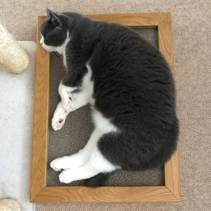 80fbf6af ce4f 426a 85c4 4477844db258 1542677940736