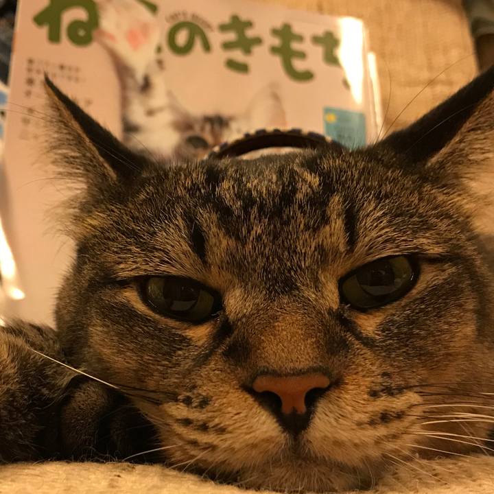 80fc04d9 8a2c 4098 8fba ca3d543a6446 1539880134453