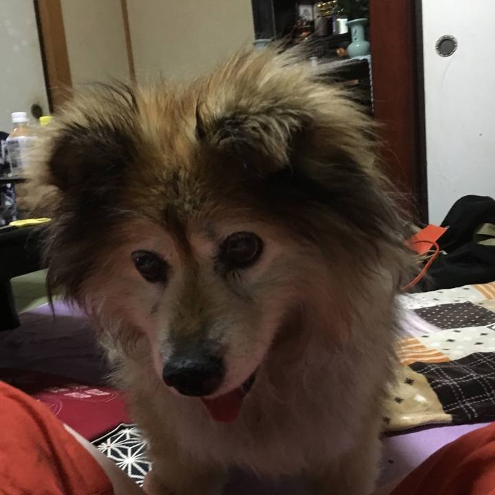 80fc12bd b536 454e ae4c bc75aab5390b 1578616819763