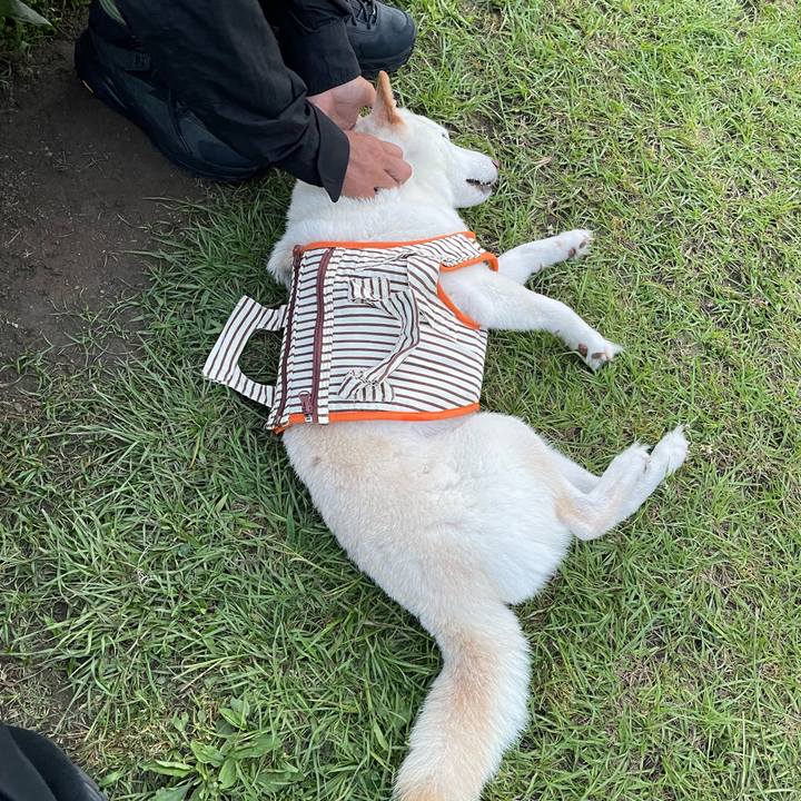 80fc249f 7f5a 41ae ac71 1eb72e752924 1655044926644