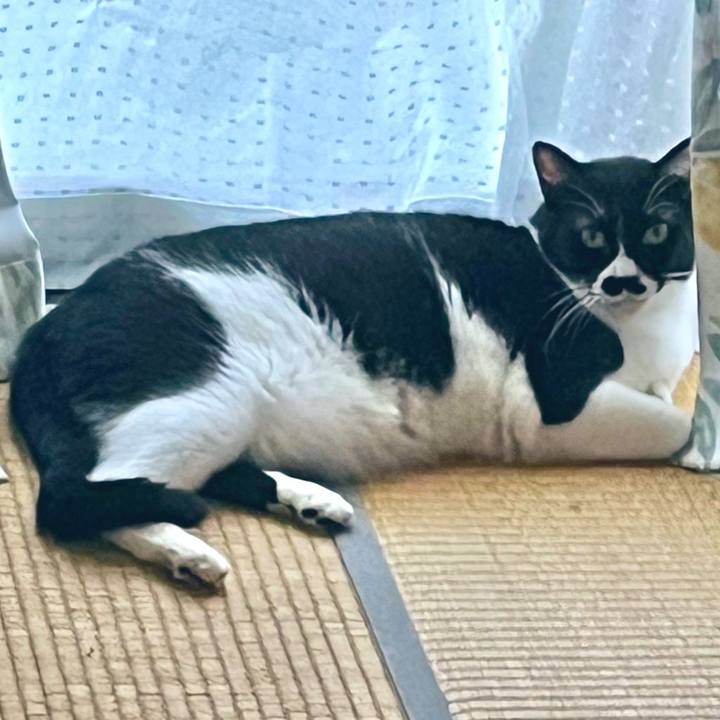 80fc4050 c4be 4525 960e 45bb1a897641 1693871965346