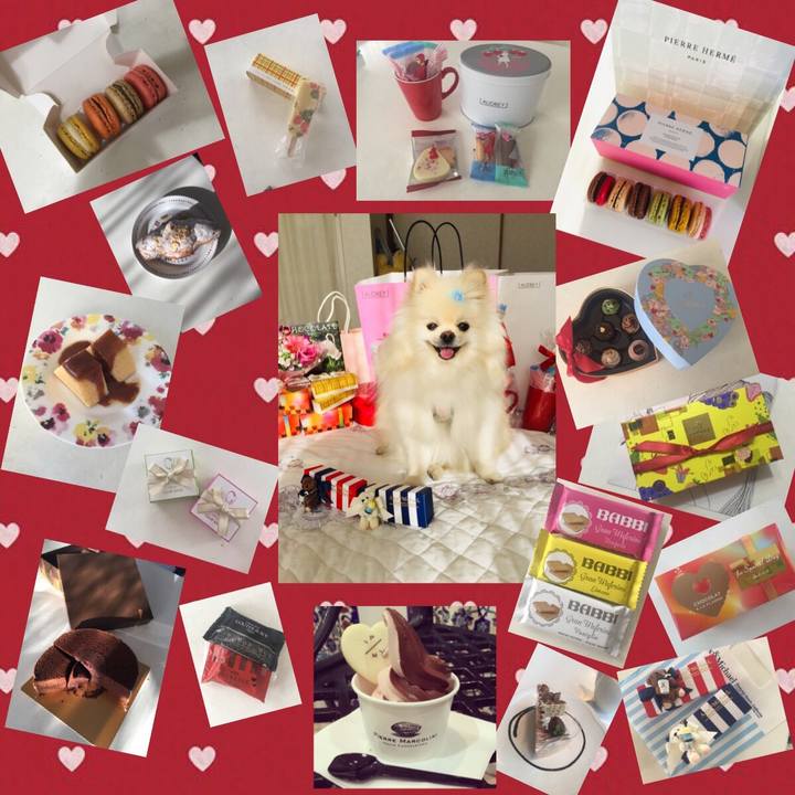 80fc4271 b219 4505 91e9 eaa459969e7a 1550070336085