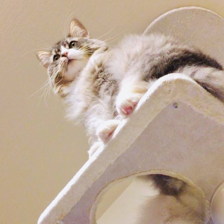 80fc76c6 92b7 478f 96d1 117e315e6101 1541526258669