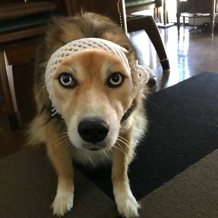 80fca9d6 7143 4556 888a 88fff11a1c1e 1530335207745