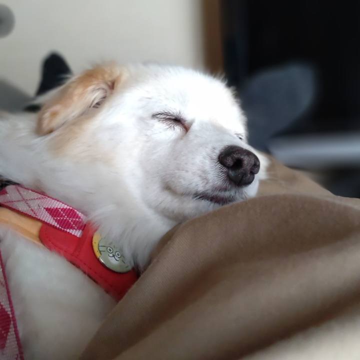 80fcc631 c1c9 4b96 82ac 6419ca566c57 1649043001388