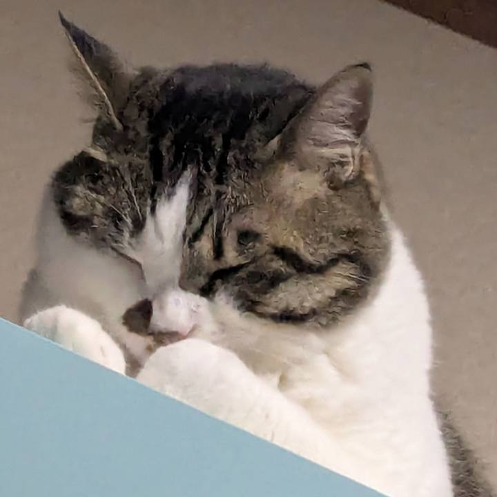 80fcf0cc 3123 455a 9dcb bc4dad9d541c 1751185192797