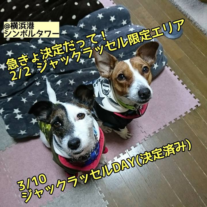 80fd0195 8116 4474 aa59 eb88cf3acab8 1548077041410