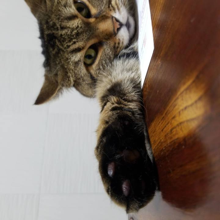 80fd6283 a61a 43a4 ab2f 5b66dbaf9bc7 1566477301737