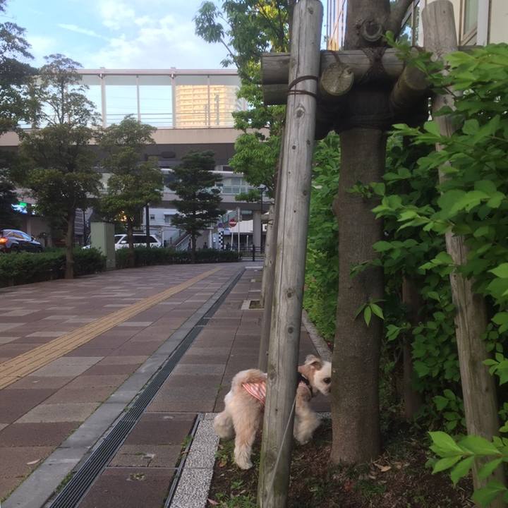 80fd6677 90ae 4121 860b 9517f30ff85f 1558519078370