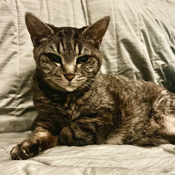 80fd81eb 20b9 45ce 8395 942672698551 1762439464772