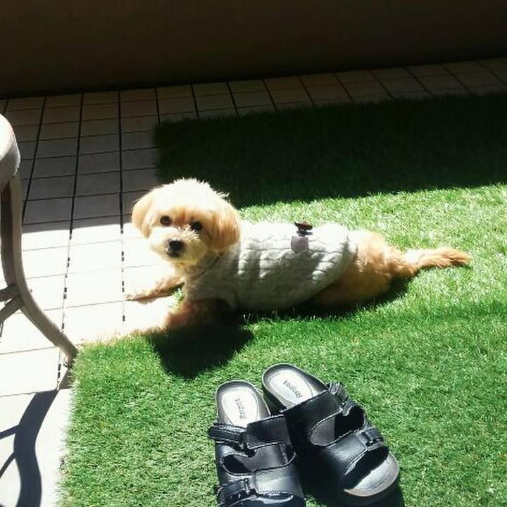 80fd8e4e 3ade 4e09 ada4 e5d5065796fe 1521300326413