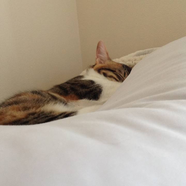 80fd9208 6c9c 4e47 927c e620b1fc66fe 1661370442402