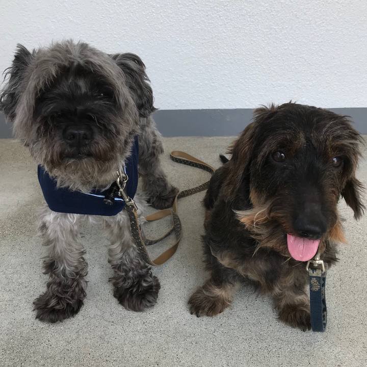 80fdd42d c41f 448b 9443 e52d829a828a 1533355990410