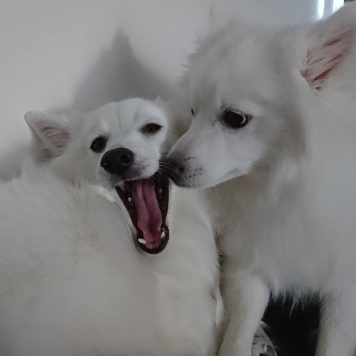 80fde4e8 a9c4 4e0b be08 444bd68880d8 1580447797201