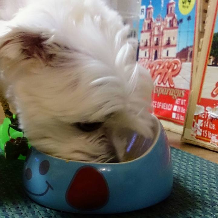 80fe209b ea7b 4c59 8bce f9cb2439769f 1523104767286