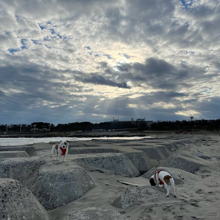 80fe4217 4273 41dc b0ce 762121e35433 1667004340881