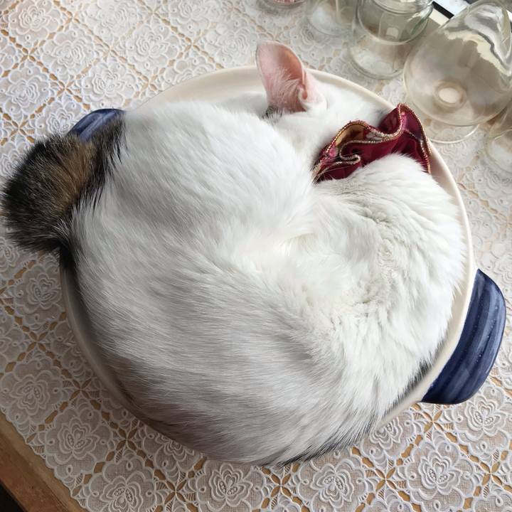 80fef05f d3ae 47ae b21a bb3ab924870a 1569329756284