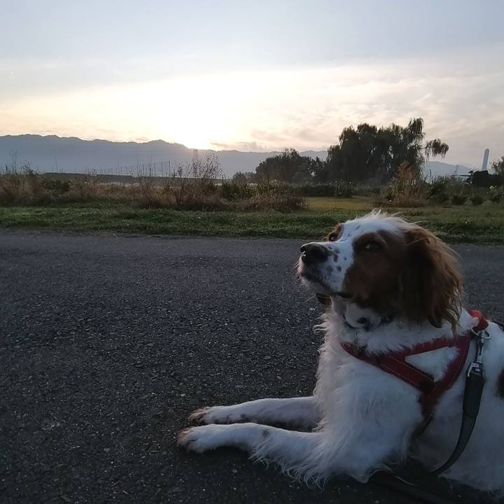 80ff037e 1880 4ddf bdad afc1945cdc31 1574639945065