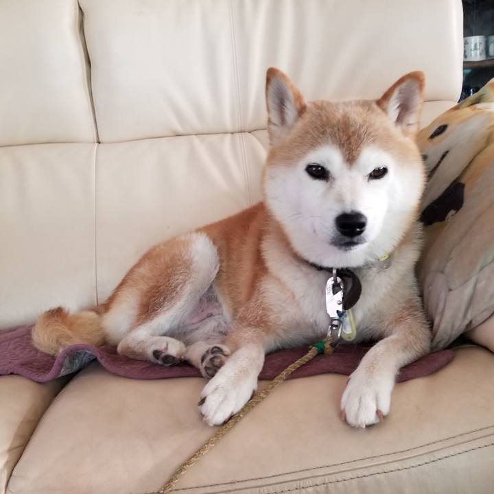 80ff5a5c 5bf2 4d9f acea 0de94c4eb1d3 1659741249306