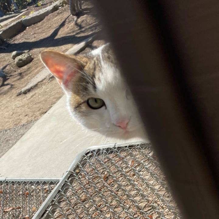 80ff816c 203f 49d1 ae89 96d087a67bcc 1645793851503