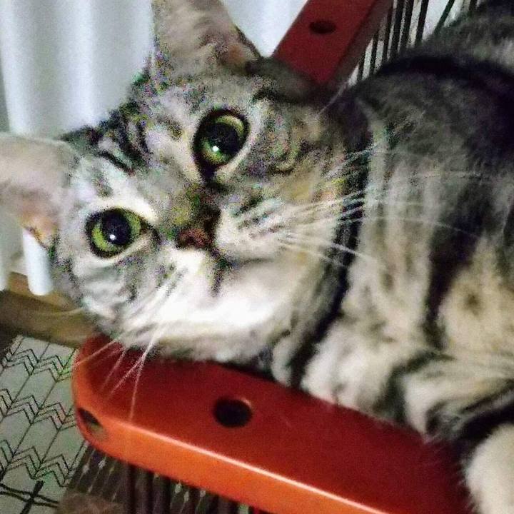 80ffed18 667c 4fed 8eef 2c33bc976b2f 1681211667524