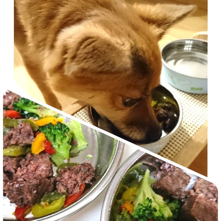 81002698 2bee 4236 9b17 0f7a981fc402 1538651992312