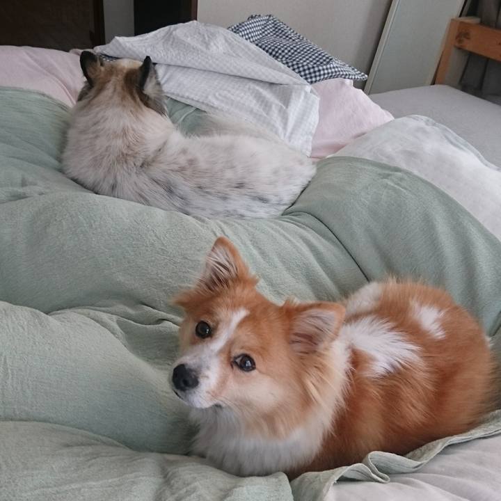 8100aa84 4f4f 4548 8367 646497018997 1575539770151