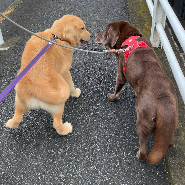 8100aea7 af89 459a 9218 efb55527ff27 1758258567549