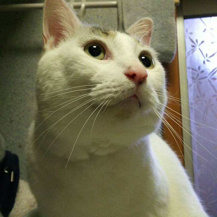 8100f6ce f140 43e6 84cd fd8d616c699c 1508234284828