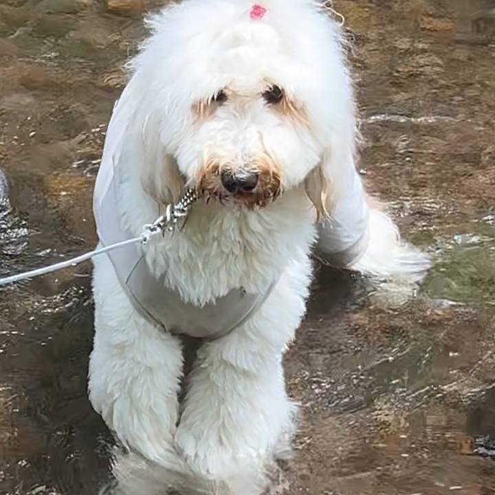 81010771 94da 4093 8902 db0a4c815842 1753607208421