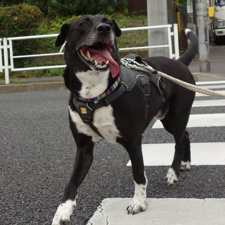 81015c97 12f3 4600 a1ce e0a404bf6173 1655770008638