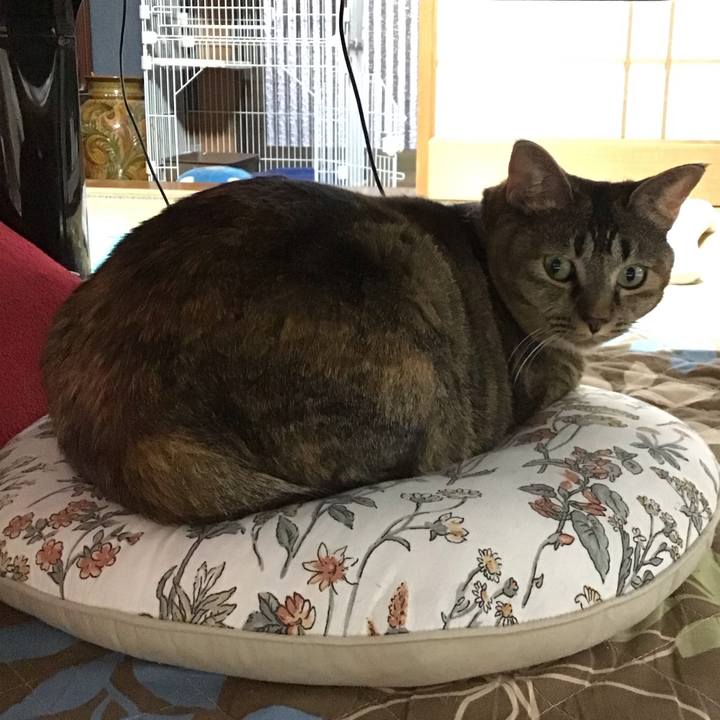 81018ad6 644f 4214 b882 5b668153e3f1 1696933574955