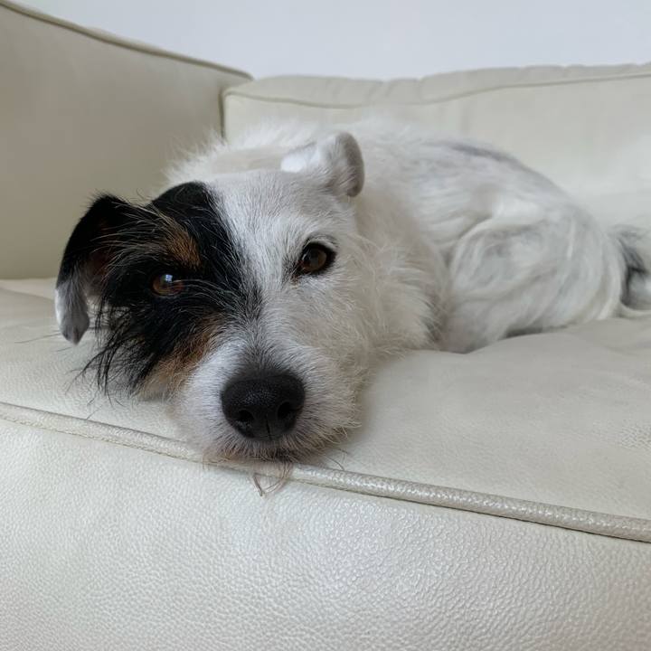 81018c54 6f43 442d a547 5380ceeef244 1589518820662