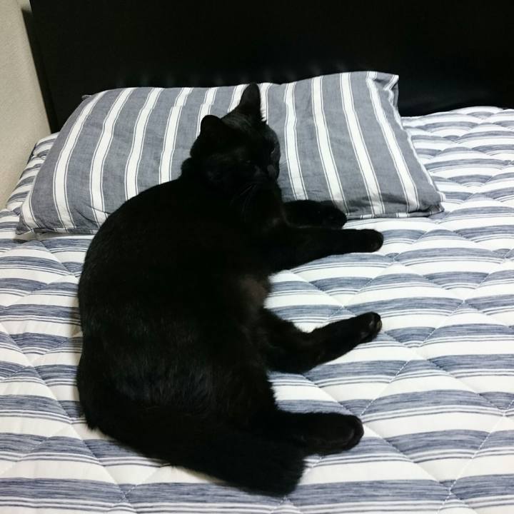 810195bc 4d94 4166 a1a9 7ff6e416ff01 1532615118439