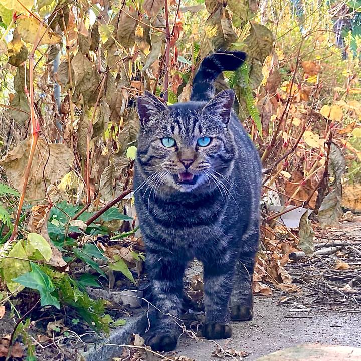 8101a6db 51ce 4b63 8f83 3791b458102c 1668144331402