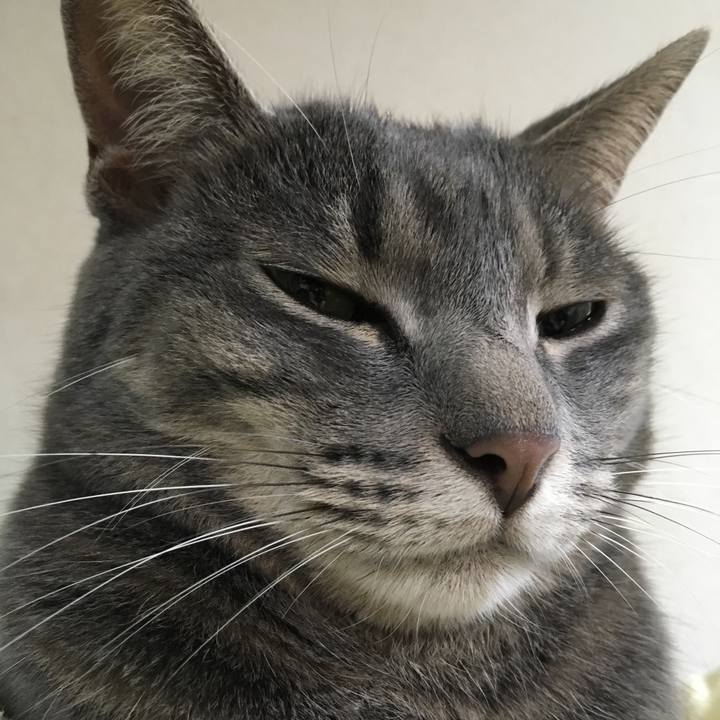 8101aa41 2fd0 4076 afac de8f2418e512 1565418758969