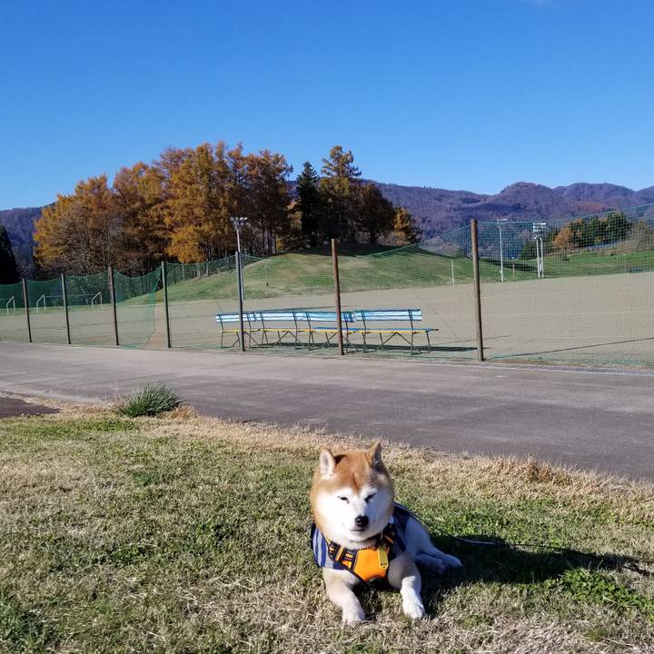 8101df03 7123 4820 b306 fa14e1b859a6 1637037596455