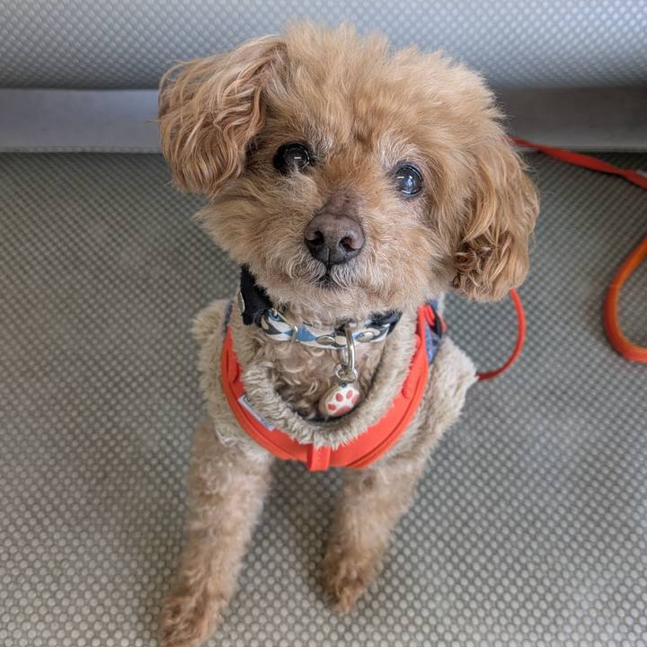 8101e3b2 f50c 4b20 8b9d 70eed03f5b0d 1773450884997