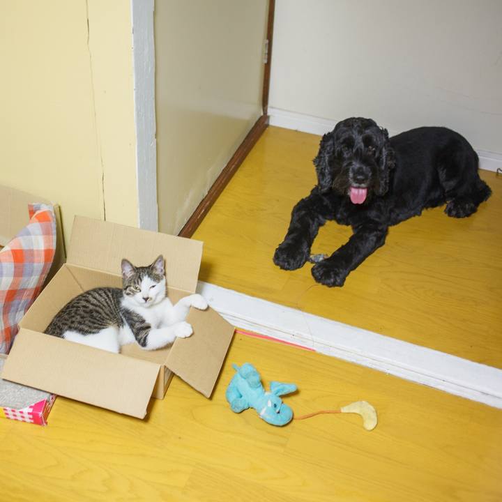 81024b5c 26c4 42c3 a710 60ee5348690e 1560948042271