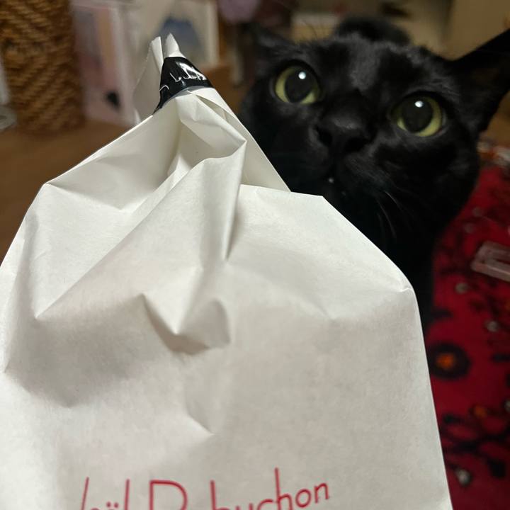 8102615a fefa 4fc5 b9b5 ab43b5068414 1764600091830